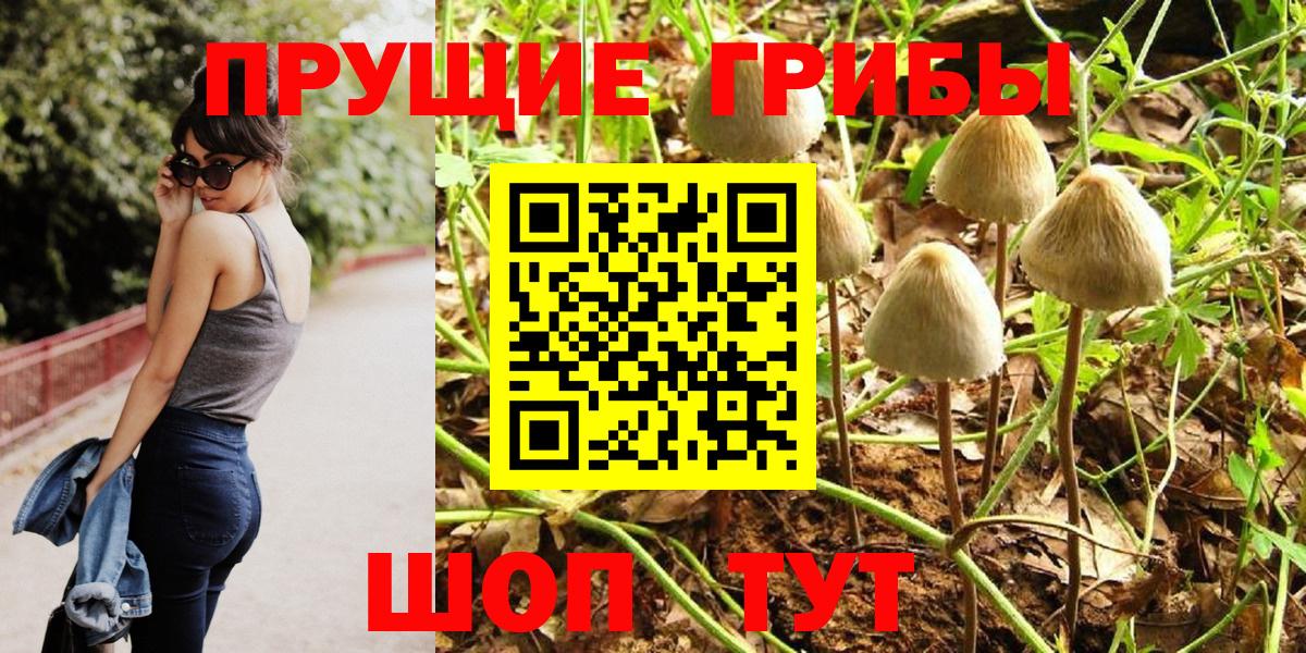 Псилоцибиновые грибы мухоморы  Вход с VPN  Кизилюрт 